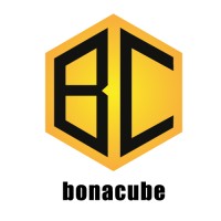 Bonacube App logo - Similar company to Ape Brain Games