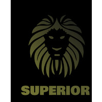 Superior Investment Consulting LLC logo - Similar company to Iimsam