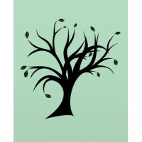 Nexus Teen Academy, LLC logo - Similar company to Nexus Recovery Services