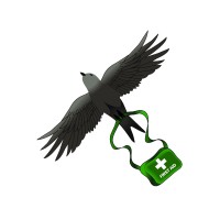 Swift First Aid Training logo - Similar company to Dancing Queen Admin Services