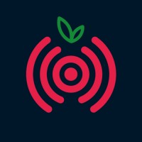 Raspberry Shake logo - Similar company to Gempy