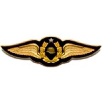 Club Aereo del Personal del Ejercito logo - Similar company to Aeroinnova