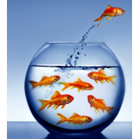 -Independent Consultant-