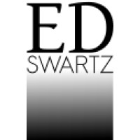 EFS Consulting logo - Similar company to Wu Vienna - Institute For International Political Economy