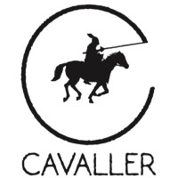 Caballero's IT logo - Similar company to Infinityverse