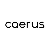 Caerus Academy logo - Similar company to Ness