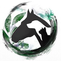 Kingsfoil Vet logo - Similar company to Prince Chiropractic