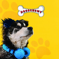 Dogschewy logo - Similar company to Colod