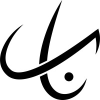 NAS logo - Similar company to Moab International Commerce
