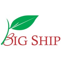 Big Ship Organization logo - Similar company to Bit Shift Ab