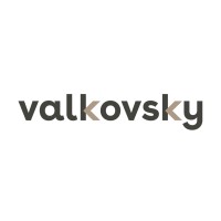 Valkovsky Immobilienmanagement GmbH logo - Similar company to New Pine Ag