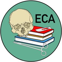 Early Career Anatomists logo - Similar company to Anatomical Society