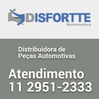 Disfortte automotiva logo - Similar company to Wcf Distribuidora