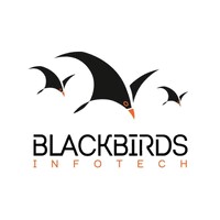 BLACKBIRDS INFOTECH srl logo - Similar company to Pakistan Technical Solutions