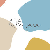 Little Guru logo - Similar company to Little Guru
