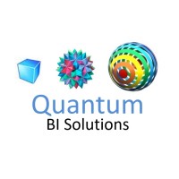 Quantum BI Solutions logo - Similar company to Crytonix Solutions