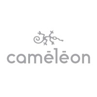 Cameleon Designer logo - Similar company to Coldpow Juice