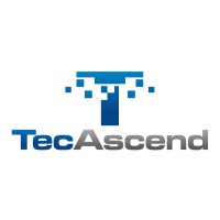 TecAscend logo - Similar company to Nichevision Forensics Llc