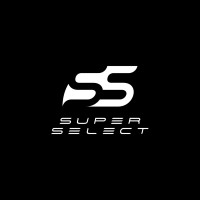 Super Select logo - Similar company to Gujjubhai Food