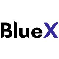 BlueX logo - Similar company to Advanta Consulting Sagl