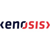 Enosis Solutions logo - Similar company to Insidemaps Inc