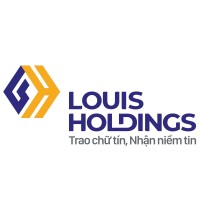 Louis Holdings logo - Similar company to Angimex