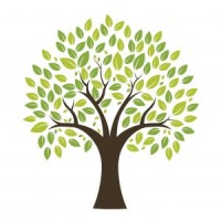 Ayurveda Center (Sneha Enterprises) logo - Similar company to Age Ayurveda