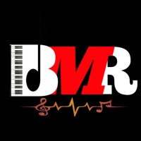 Bhojpuri Music Regional logo - Similar company to Bhojpuri Planet