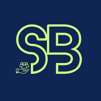 SKILLBRIDGE logo - Similar company to Skillbridge Consulting
