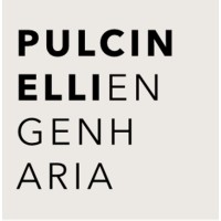 Pulcinelli Engenharia logo - Similar company to Fmg Engenharia