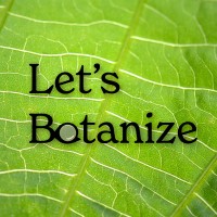 Let's Botanize logo - Similar company to Ncf-Envirothon