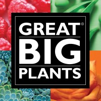 Great Big Plants, Llc