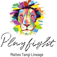 Playfight logo - Similar company to Balcone
