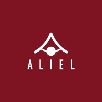 ALIEL Official logo - Similar company to Leatherbox