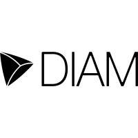DIAM ITALIA logo - Similar company to Rubrasonic