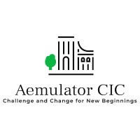 Aemulator CIC logo - Similar company to Lightning Safety Systems Limited