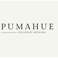 Pumahue S.A. logo - Similar company to Alue Consultora
