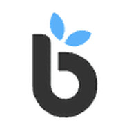 Bright Minds Initiative logo - Similar company to Tutorwise