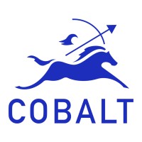 Cobalt Partners logo - Similar company to Klarus
