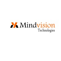 Mindvision Technologies logo - Similar company to Tech Global India
