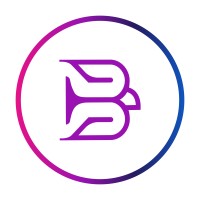 behinava agancy logo - Similar company to Behinava