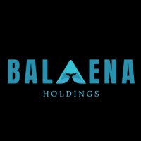 BALAENA HOLDINGS logo - Similar company to Ventura Finanzas