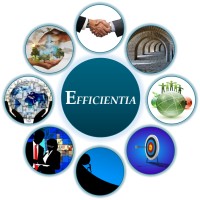 E-fficientia Partners logo - Similar company to Logic For Magic
