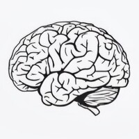 North Fulton Neurology