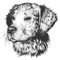 Whole Pooch