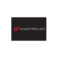 MASTROLEO SRL logo - Similar company to Neos Restauri