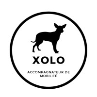 Xolo logo - Similar company to Rayon9 - Cyclo-Logistique À Liège
