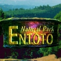 Entoto Natural Park logo - Similar company to Voice Of Hers