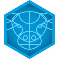MemoryCow logo - Similar company to Camera Box