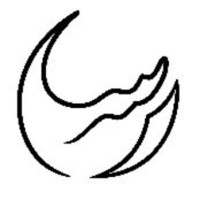 RASA Mining Group logo - Similar company to Hebei Fangjiayi New Energy Technology Co. Ltd